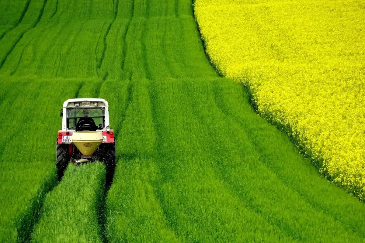 Settore agricolo