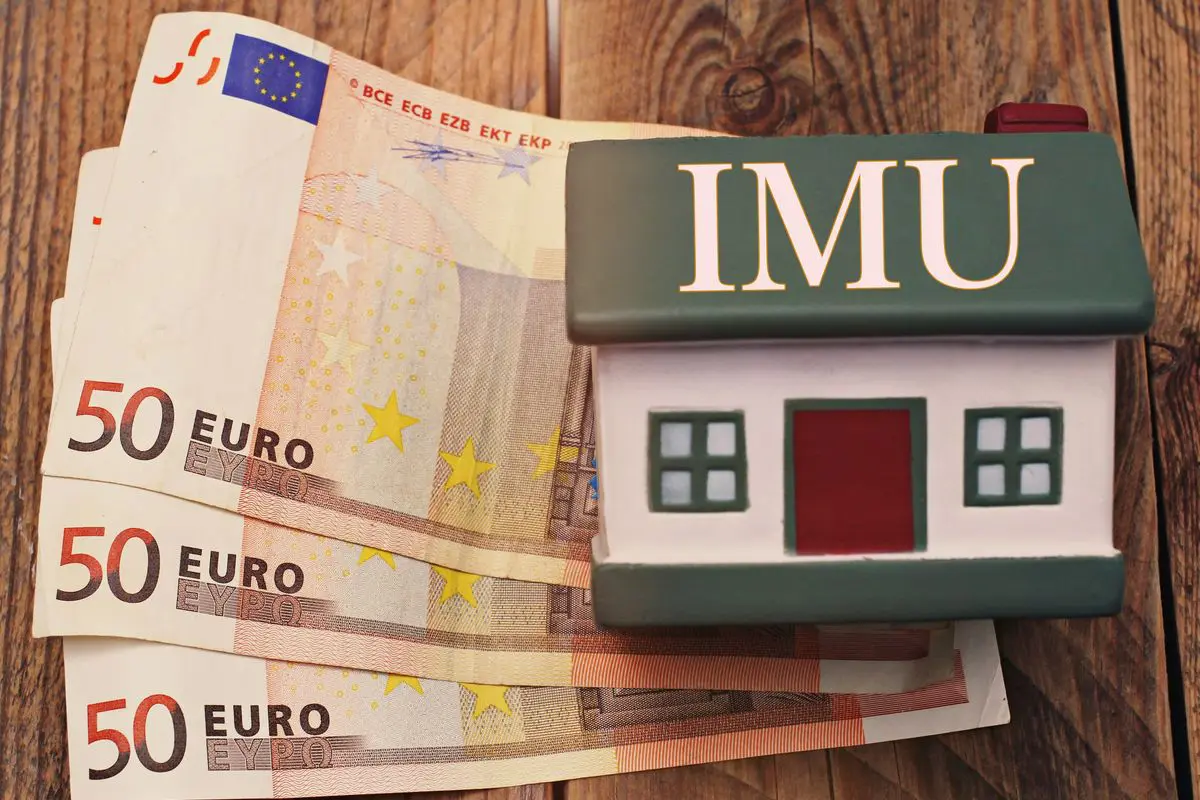Imu