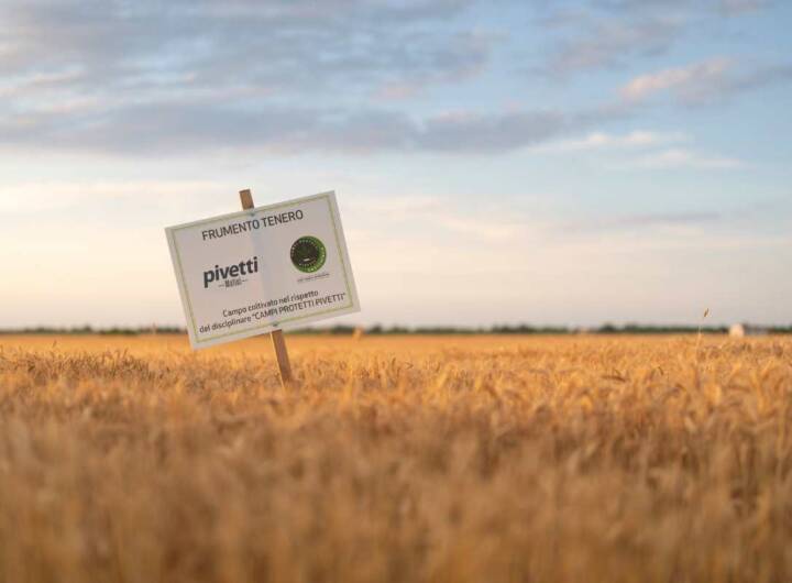 Produzione Molini Pivetti