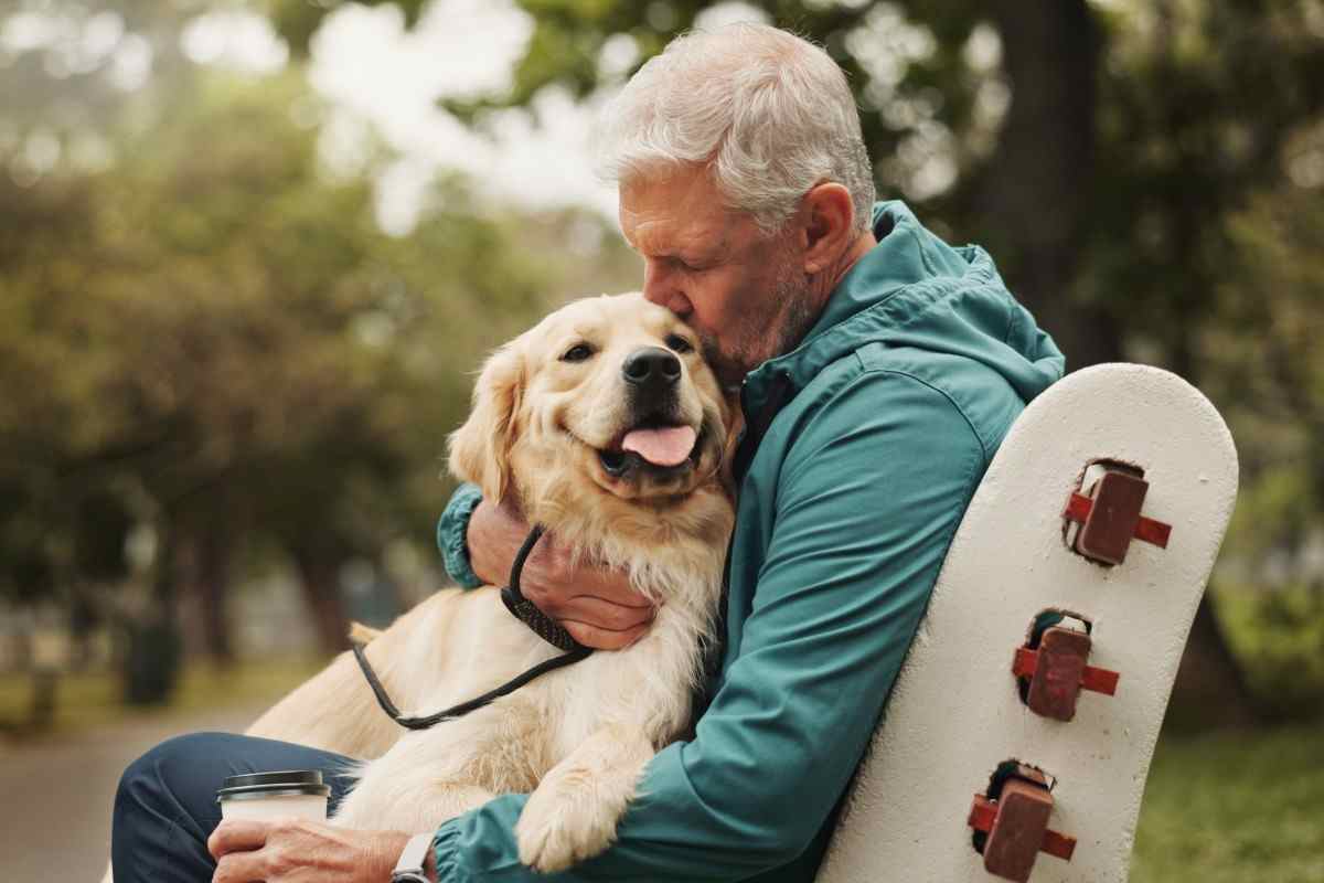 cane mangia sabbia come fare