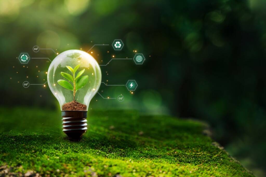 Energia pulita: concetto di sostenibilità raffigurato da una lampadina immersa nella natura con una foglia.