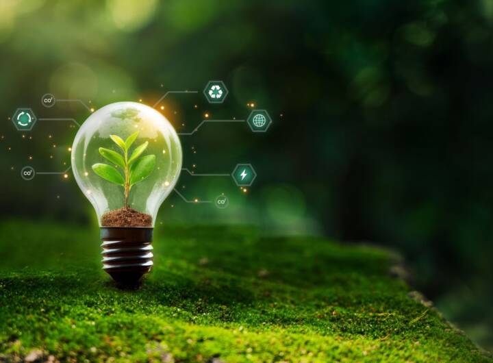 Energia pulita: concetto di sostenibilità raffigurato da una lampadina immersa nella natura con una foglia.